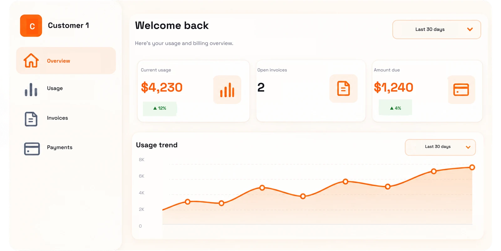 The customer portal showing that customer's own usage, invoices and billing history